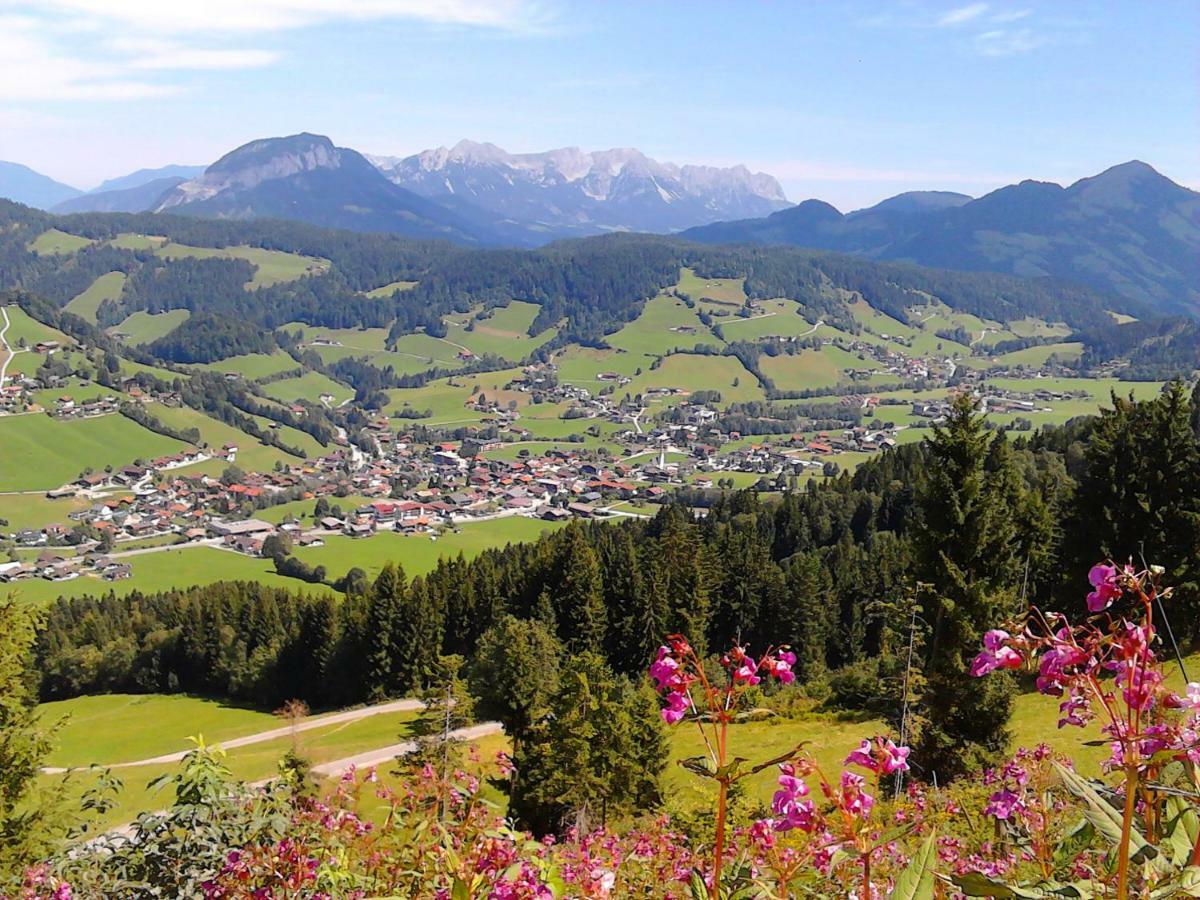 Apartmán Sonnenalp Bergruhe Niederau Exteriér fotografie