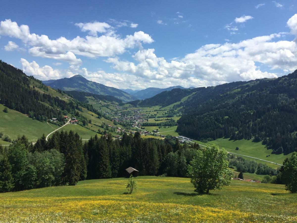 Apartmán Sonnenalp Bergruhe Niederau Exteriér fotografie